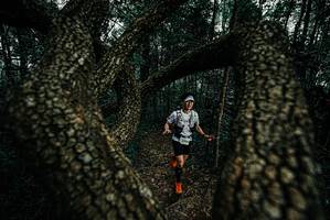 BIB: 
                            <button type="button" onclick="openModal(25691383)" class="btn btn-primary btn-sm float-right btn-popup" data-toggle="modal" data-target=".modal-high-quality">
                        <i class="fas fa-shopping-cart"></i> Add to Cart
                    </button>
                                            <button type="button" onclick="isThisMe(25691383, true)" class="btn btn-success btn-sm float-right btn-popup btn-isme hidden" data-toggle="tooltip" data-placement="bottom" title="นี่คือรูปของคุณใช่ไหม คลิกที่นี่เพื่อเอาเข้าอัลบั้ม">
                        <i class="fas fa-plus"></i> Add to album
                    </button>
                    <button type="button" onclick="isThisMe(25691383, false)" class="btn btn-warning btn-sm float-right btn-popup btn-isnotme hidden">
                        <i class="fas fa-ban"></i> Remove from album
                    </button>